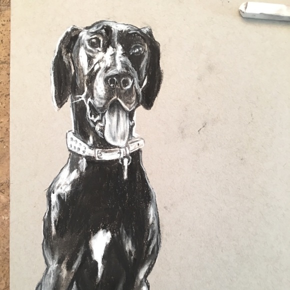 🎉 🎉 HP 🎉 🎉 Custom Commissioned Pet Portraits w/ certificate of authenticity - Picture 6 of 9